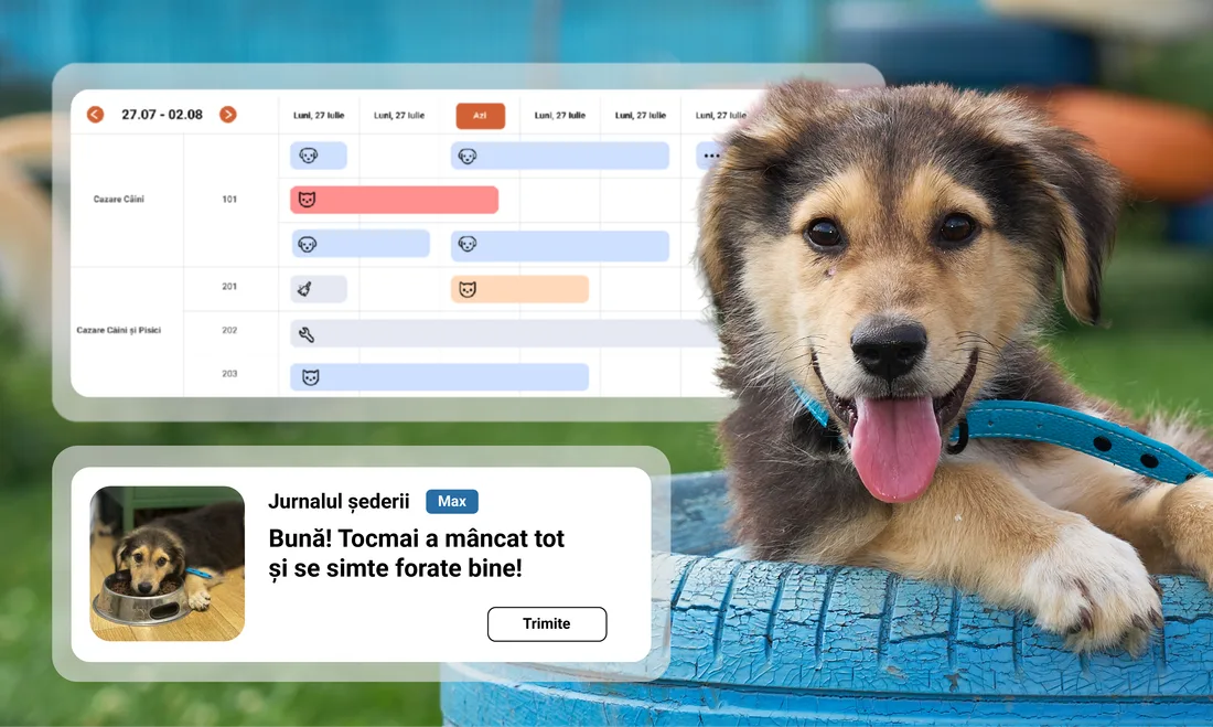 A puppy on a blue tire; beside it, the hotel’s rooms by day and the stay journal