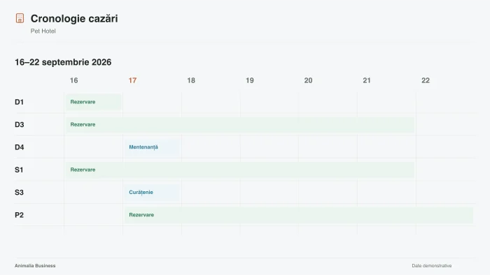 Timeline of stays by room, current week.