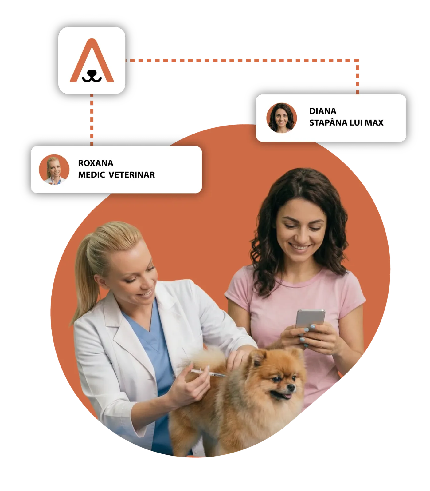 Veterinarian in a white coat giving a vaccine to a Pomeranian dog while the pet owner checks the appointment on her phone.