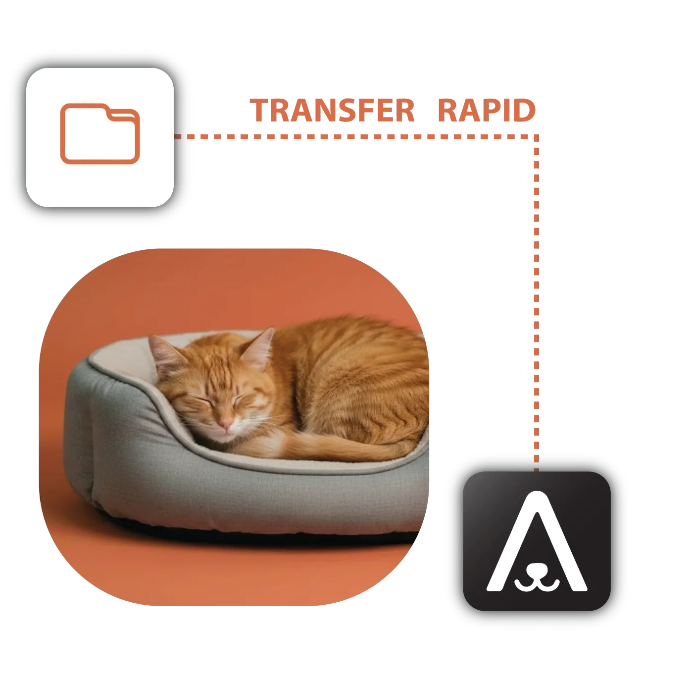 Import data from any source