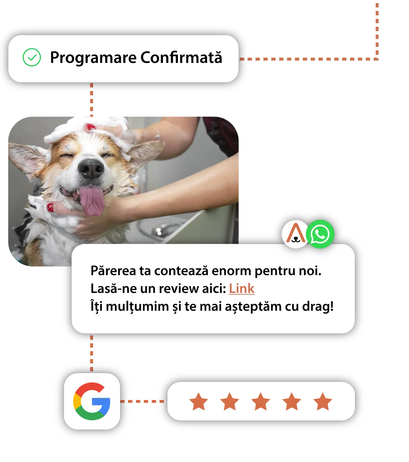 Automatic review collection