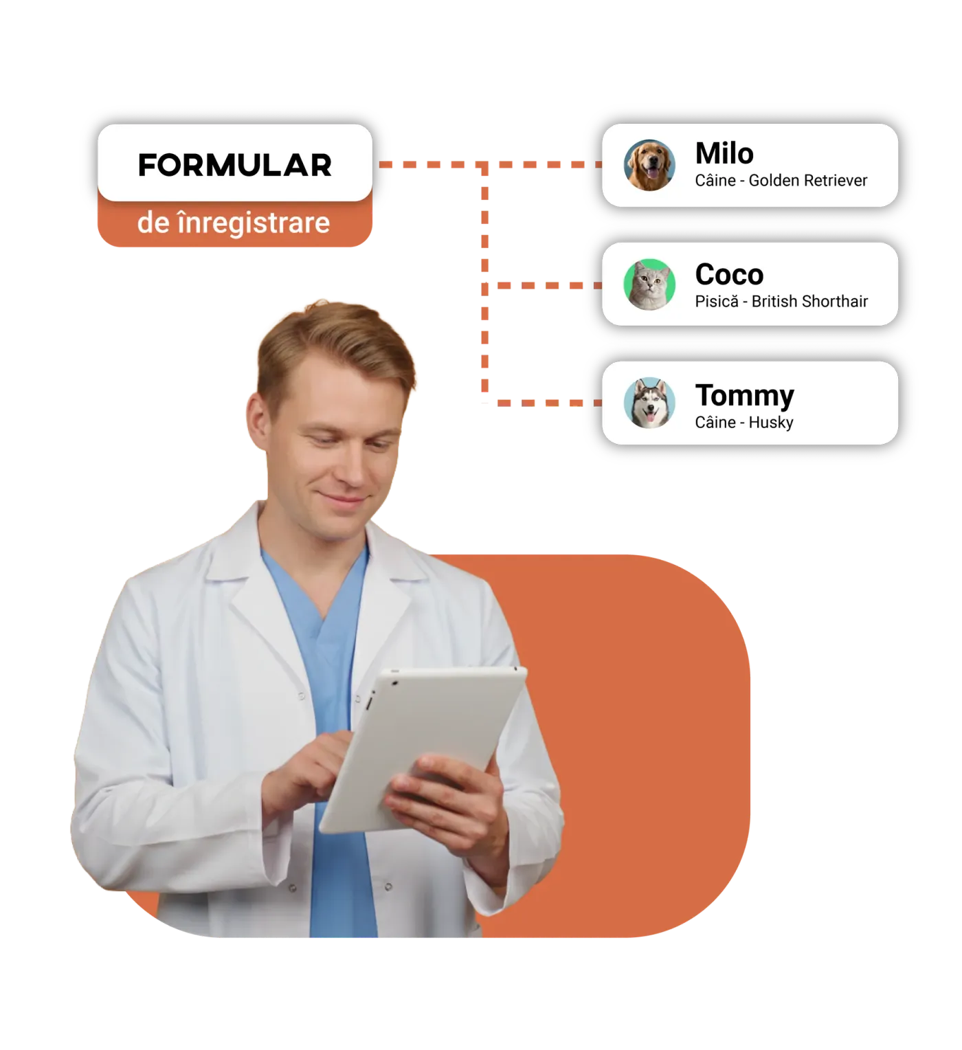 Veterinarian working on a tablet, with the same form linked to patients Milo, Coco and Tommy.