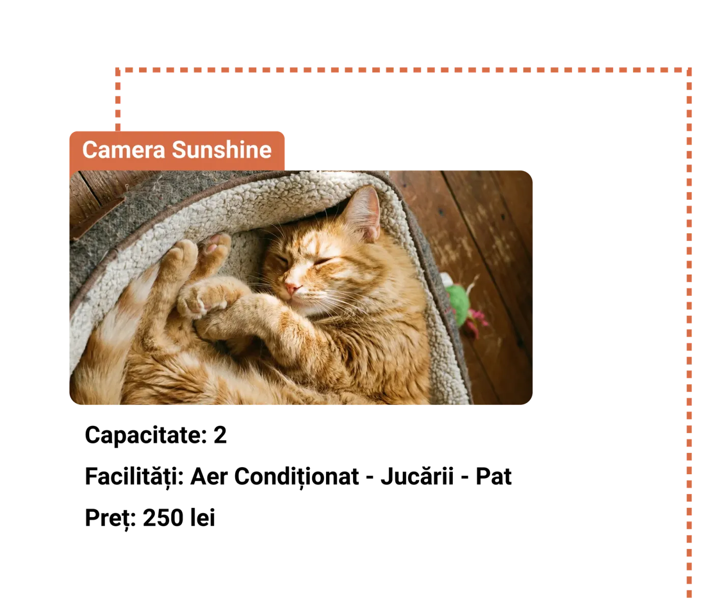 Orange cat sleeping in a fluffy bed, with the room label Sunshine Room.