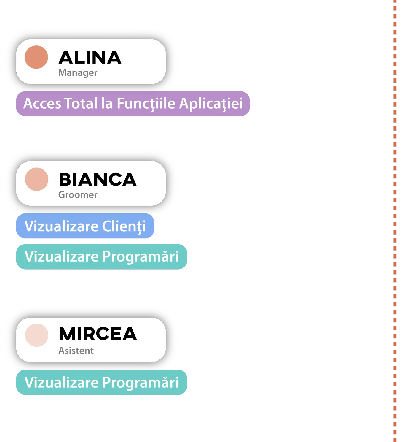Roles and permissions for the team