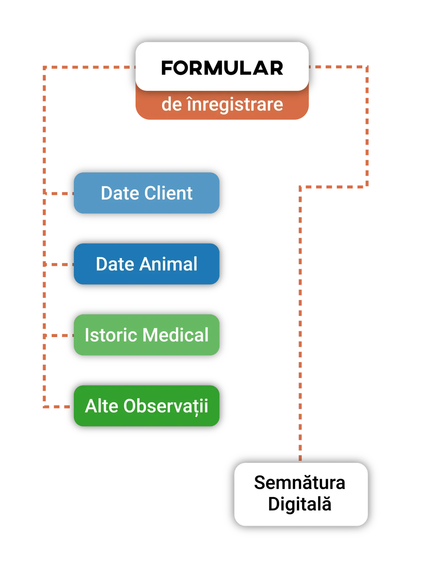 Diagram of a form with the sections Client details, Pet details, Medical history, Other notes and Digital signature