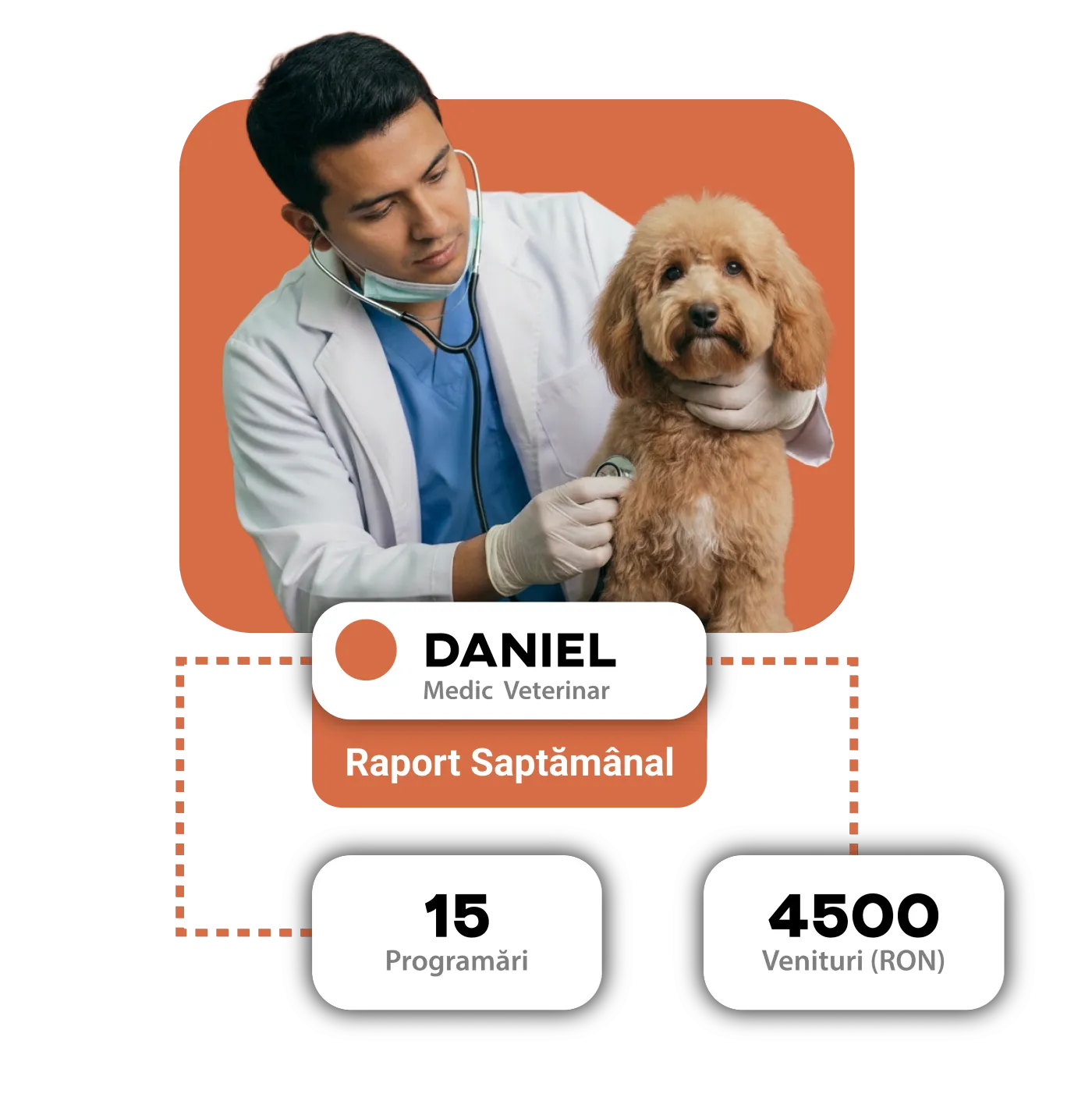 Top services at a veterinary clinic
