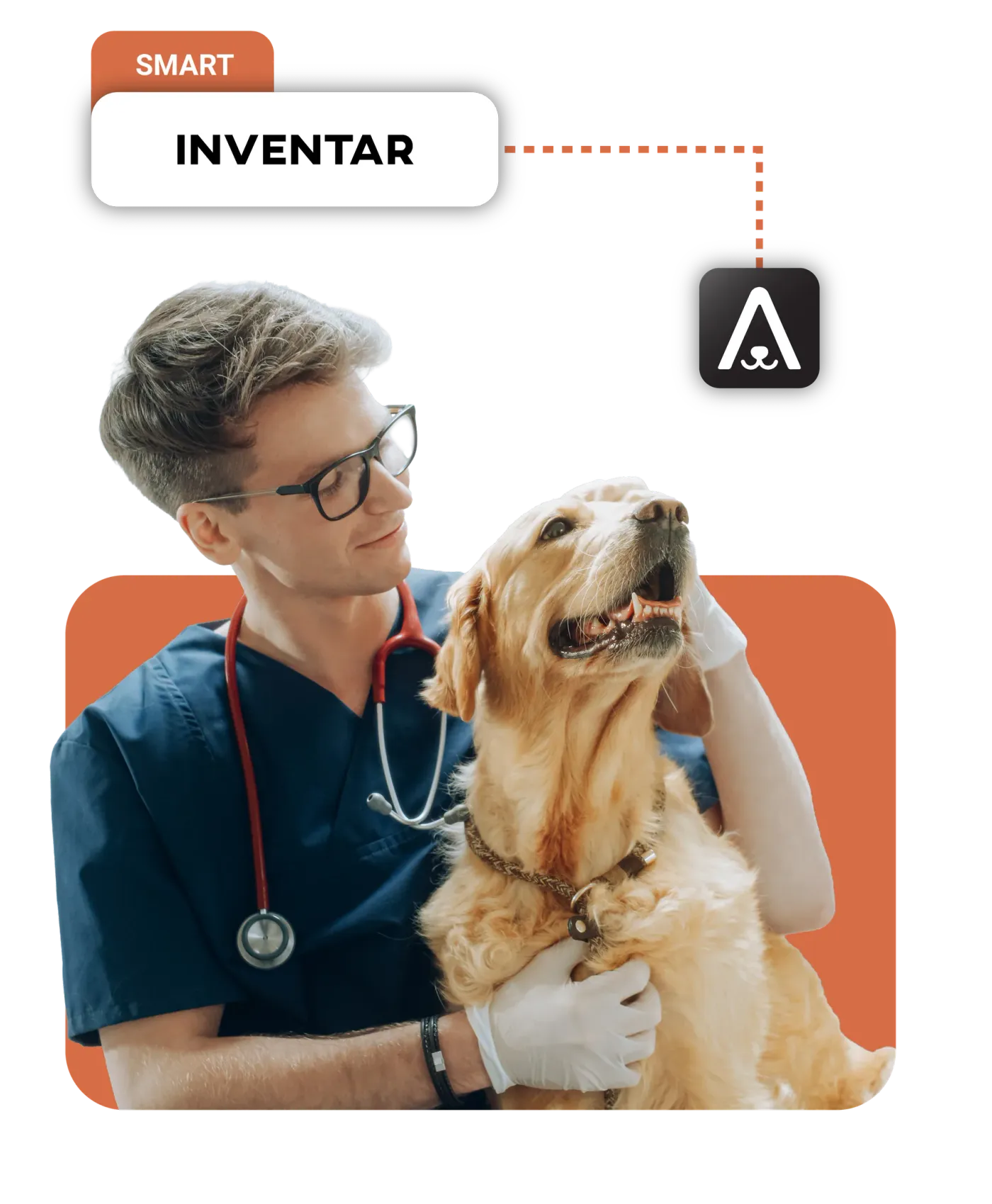 Veterinarian in a white coat holding a golden retriever, next to the INVENTORY label of the Animalia app.