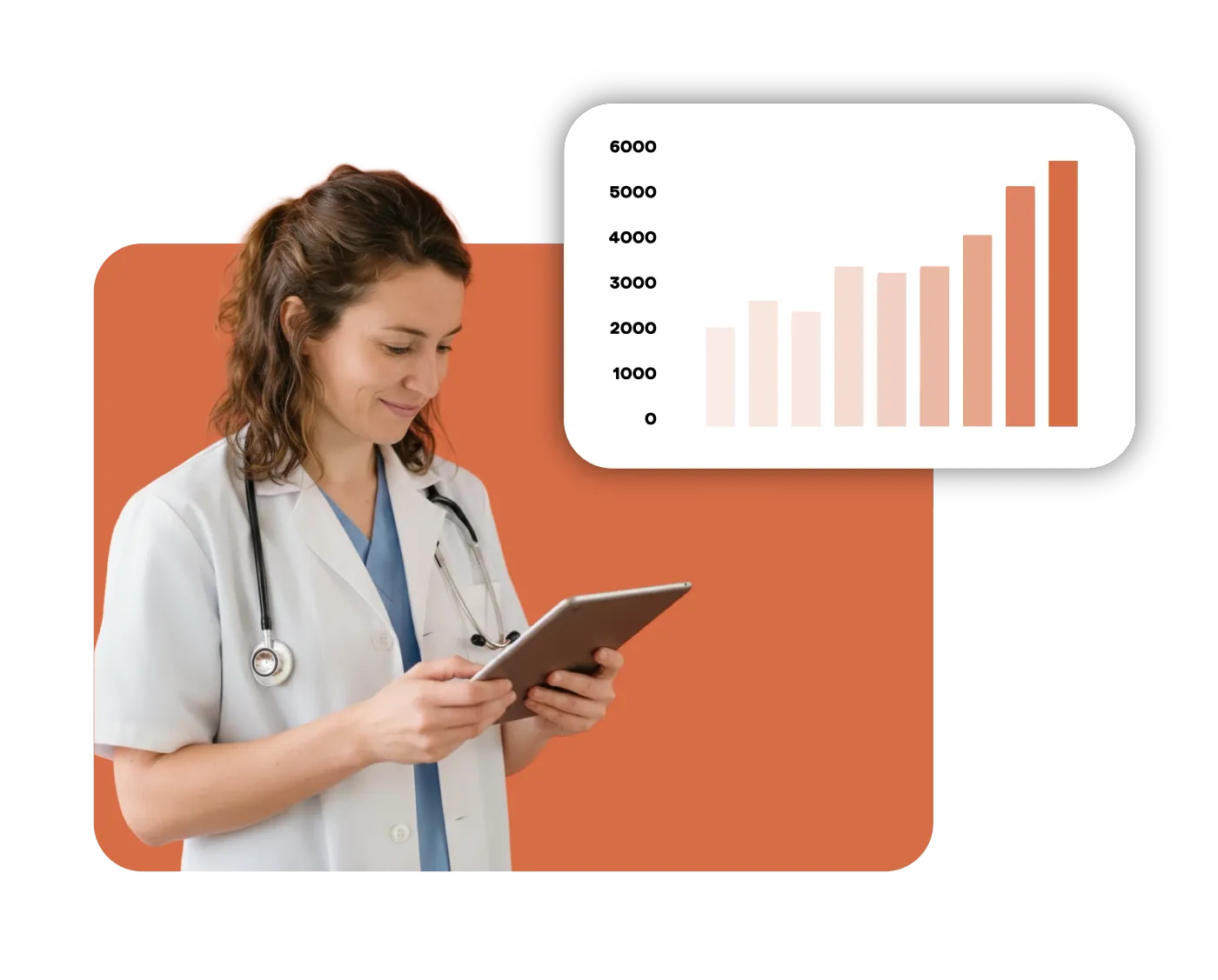 Complete veterinary clinic dashboard