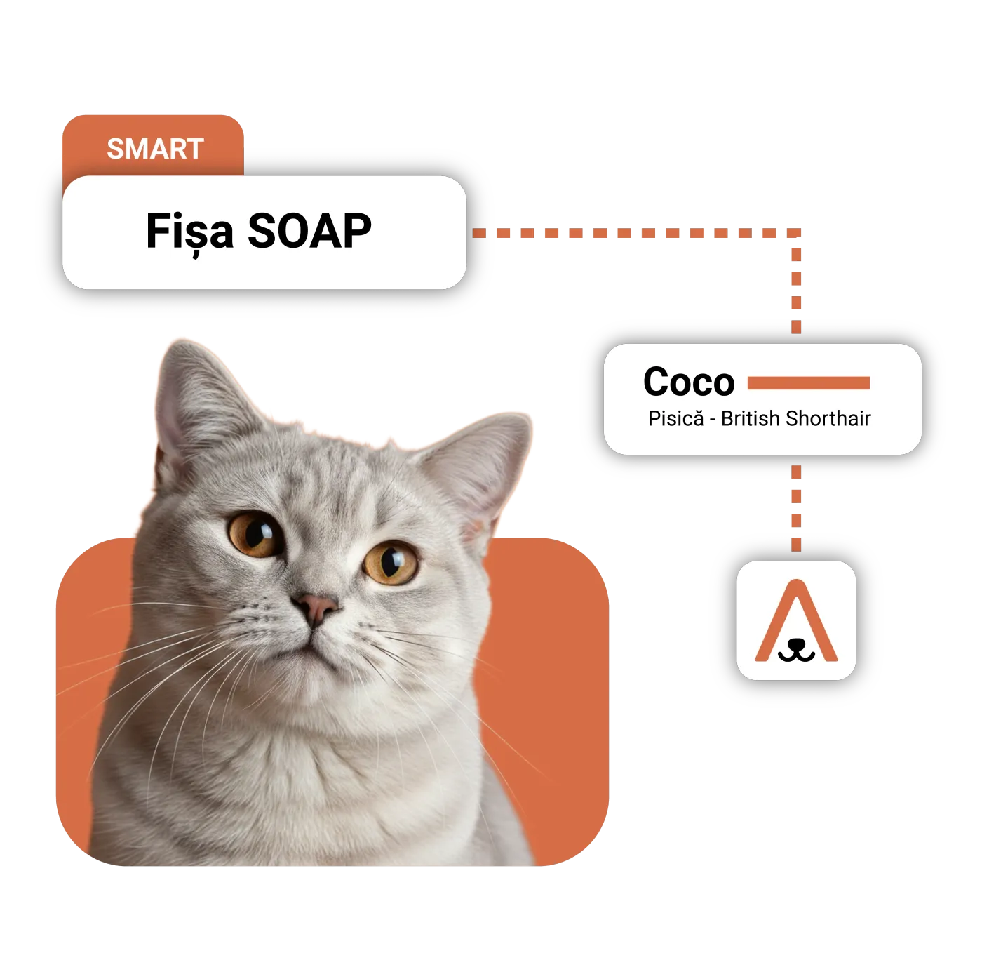 Digital SOAP notes for a veterinary clinic