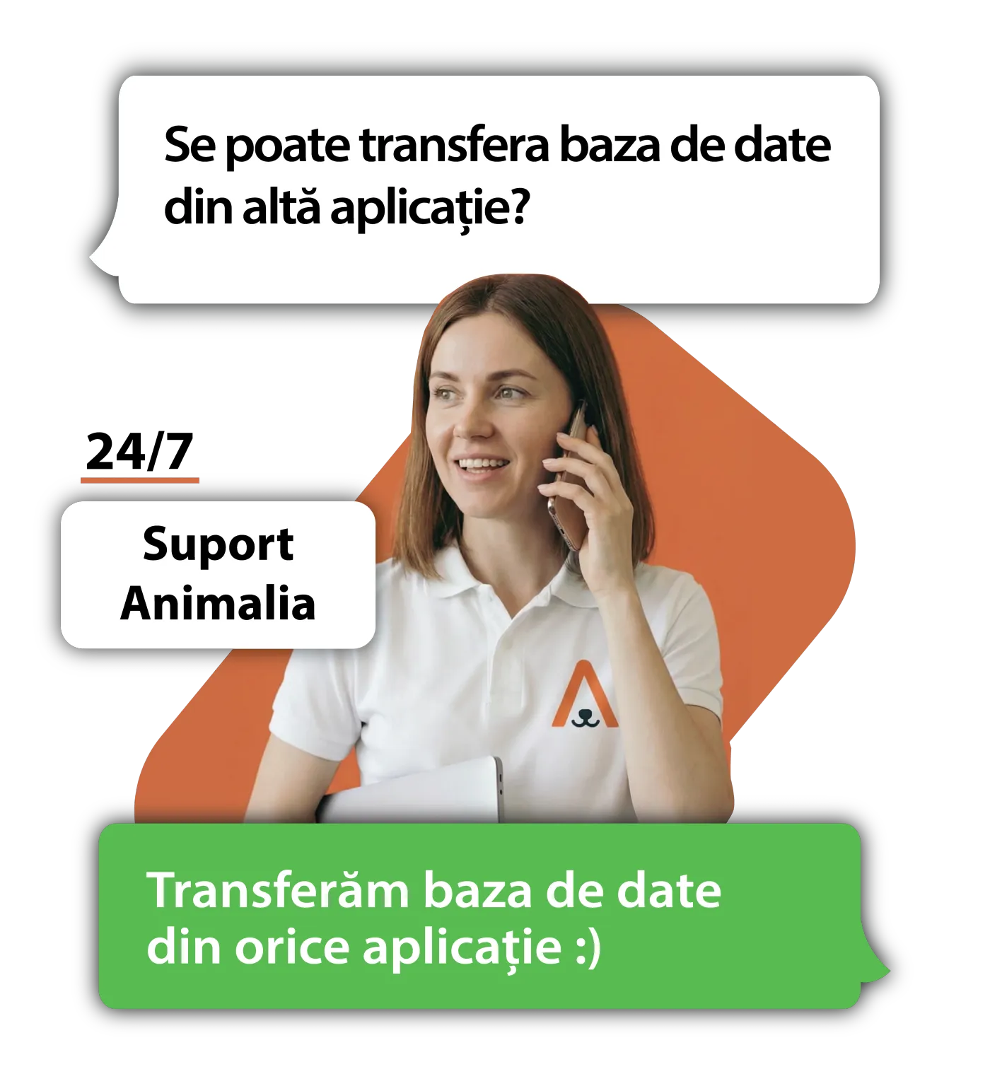 Animalia support: database transfer