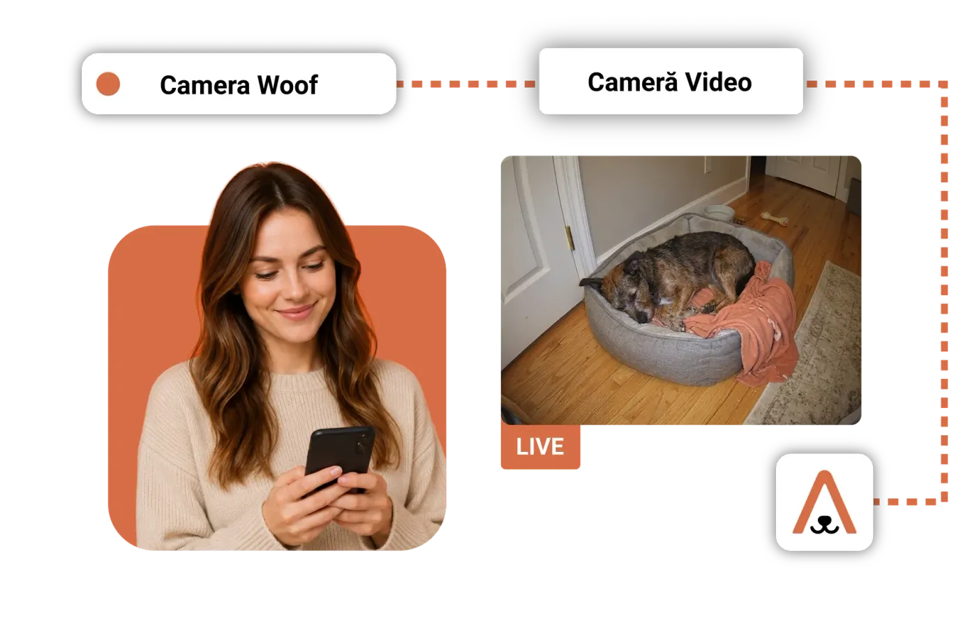Pet owner watching the LIVE video feed from her boarded pet's room on her phone.