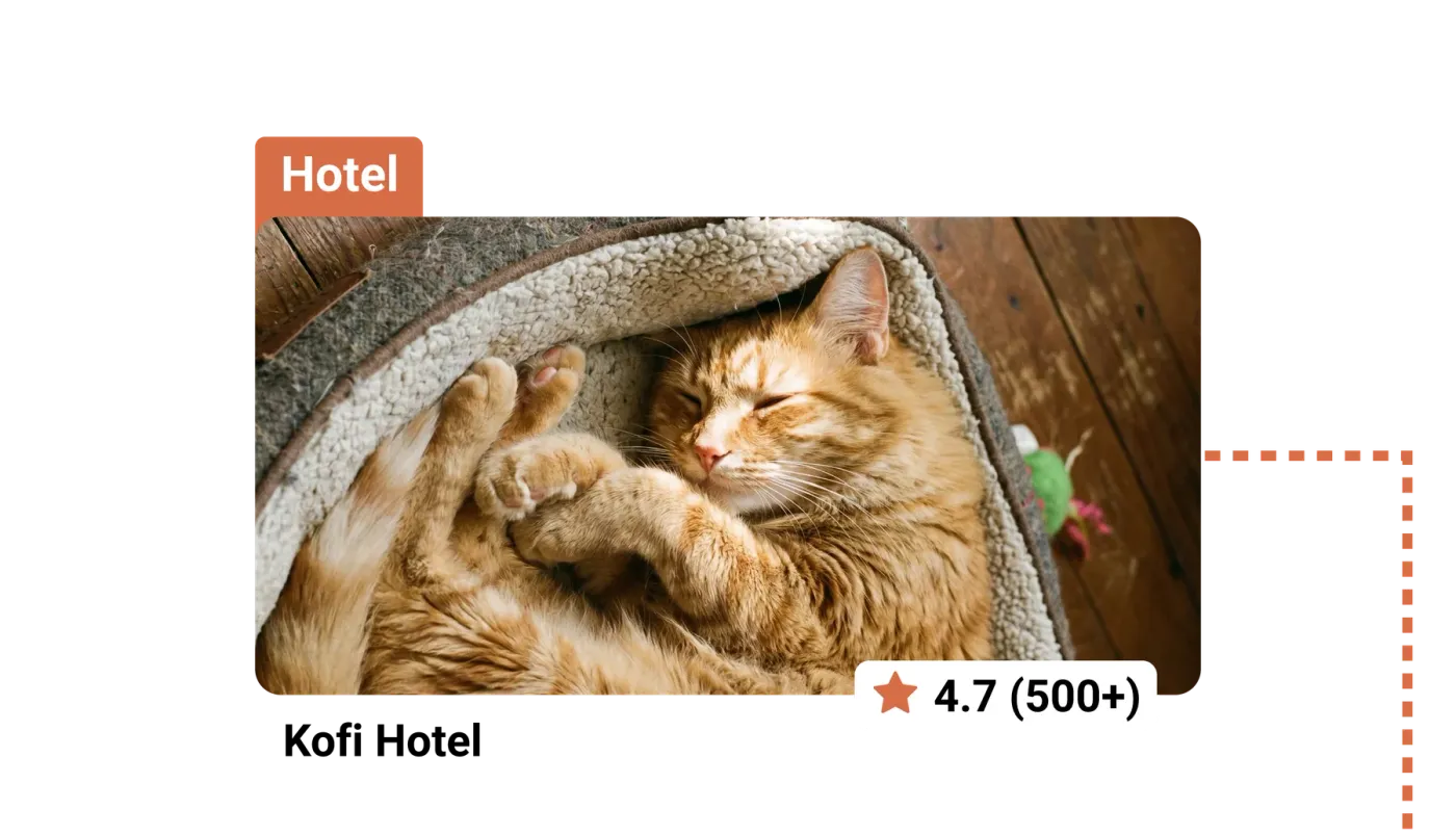 Pet hotel listing card with a ginger cat sleeping in a soft bed and a 4.7 rating from over 500 reviews.