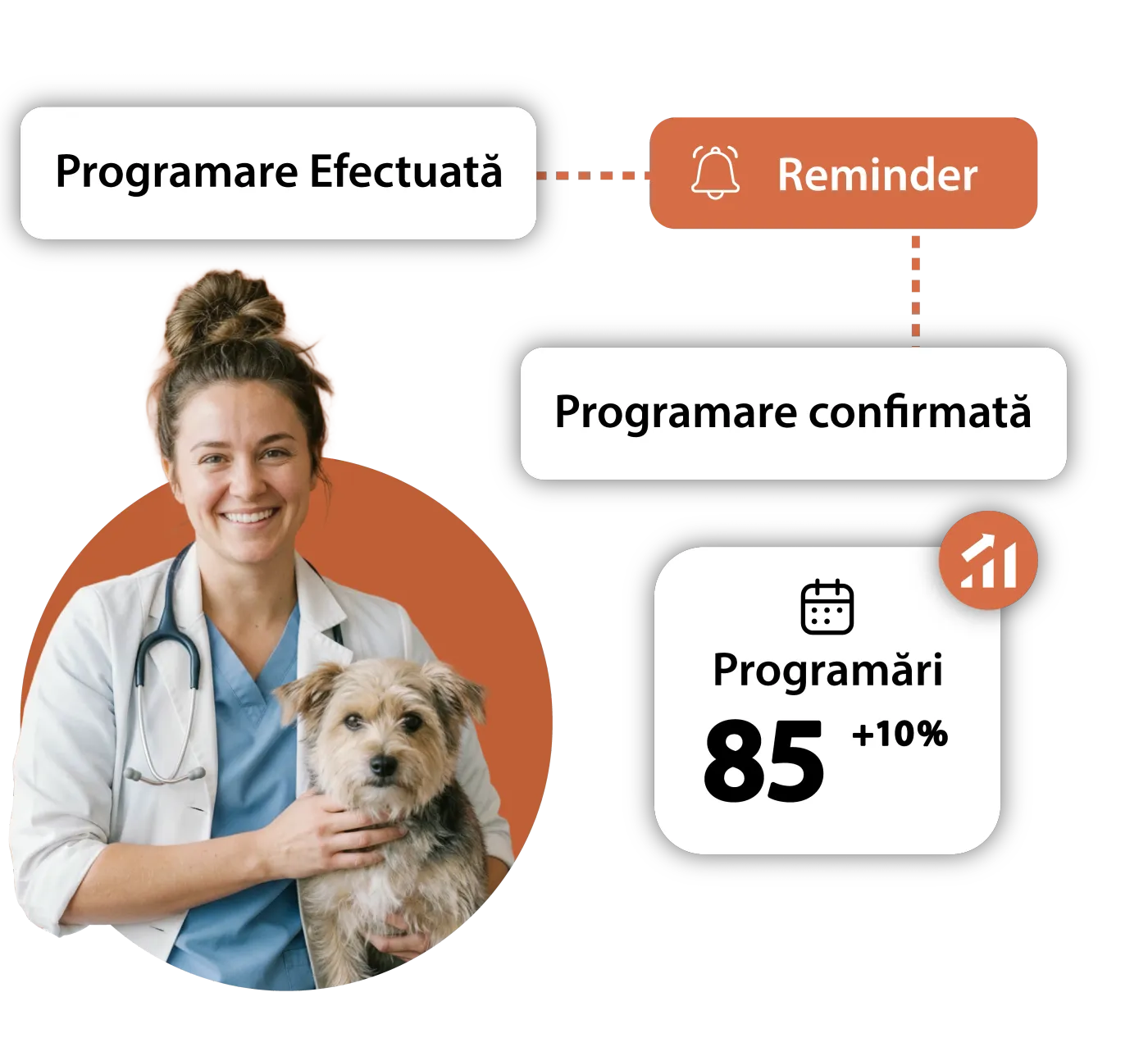 Instant notifications for a veterinary clinic