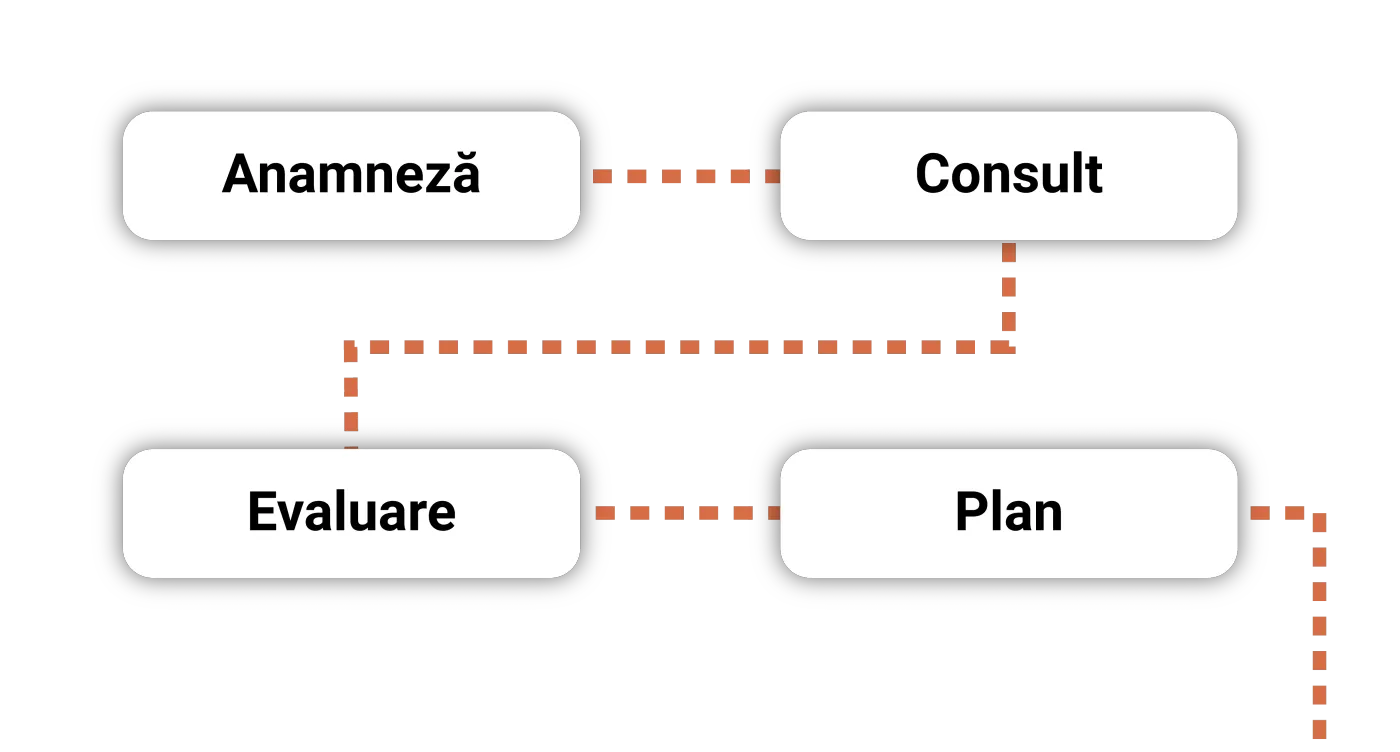 Standardized SOAP structure