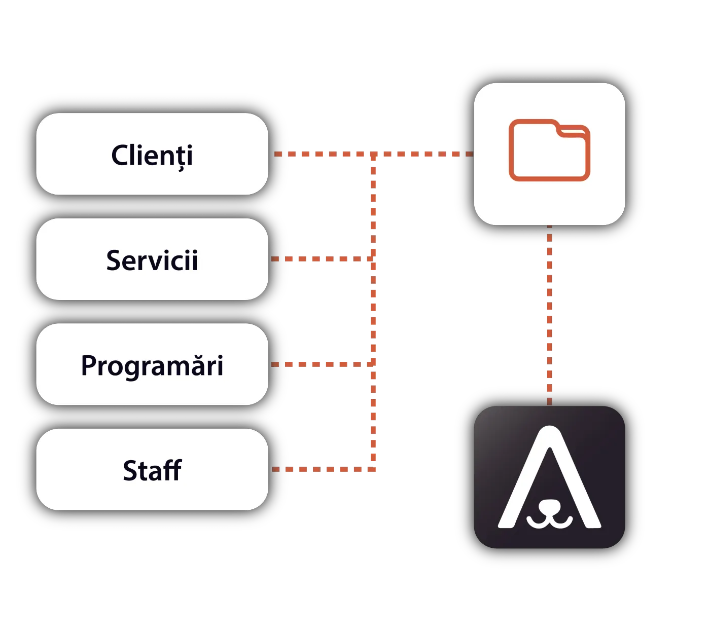 Data transfer: clients, services, appointments, team