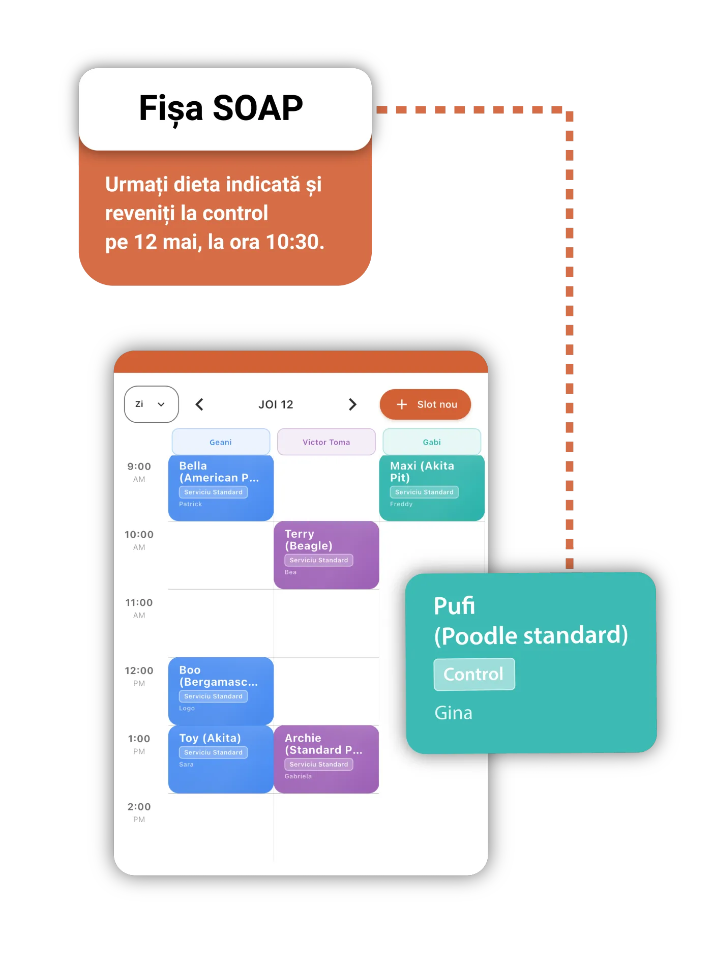 Mobile access to SOAP notes