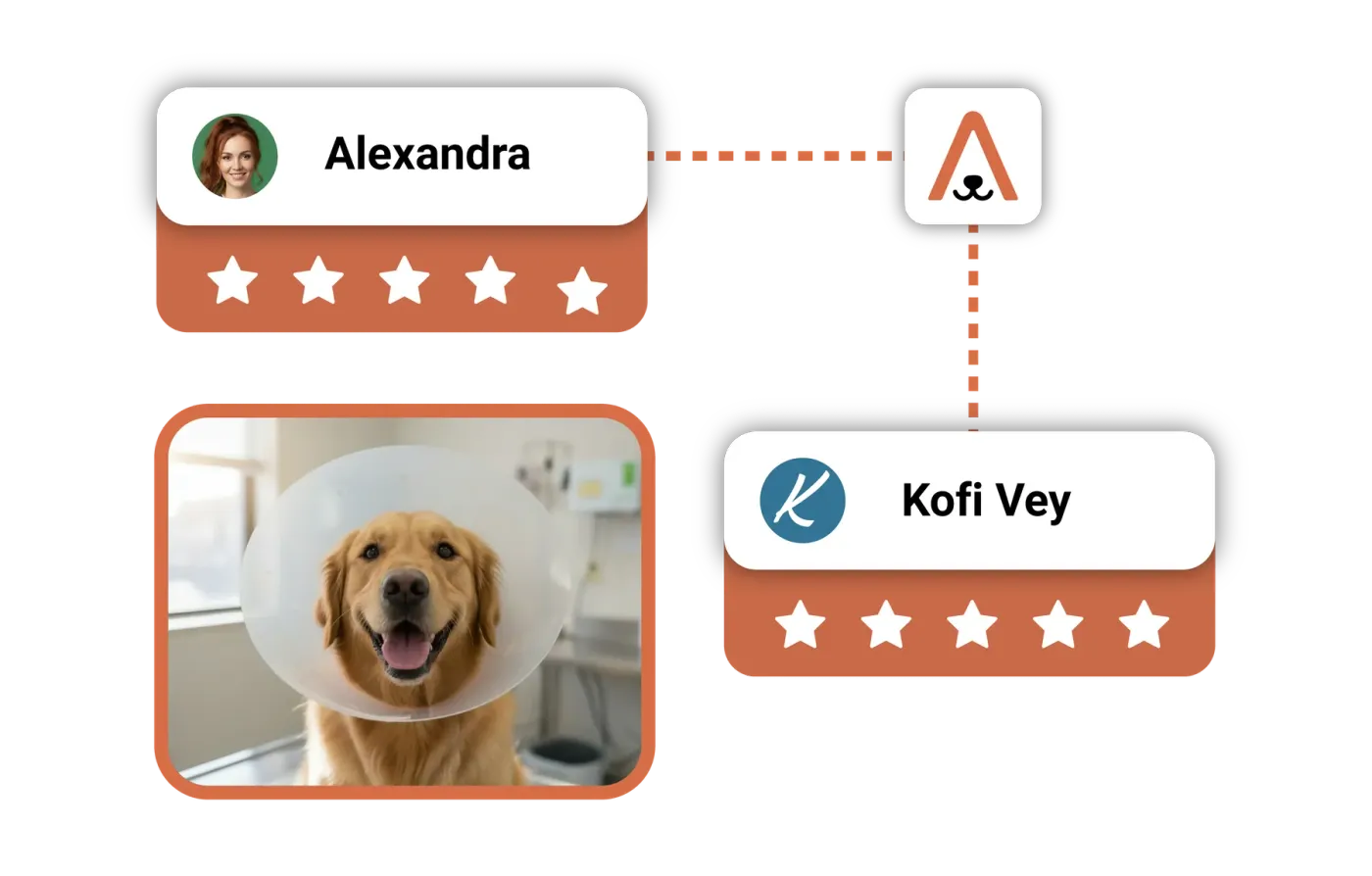 Two 5-star reviews and a photo of a golden retriever wearing a recovery collar on the exam table.