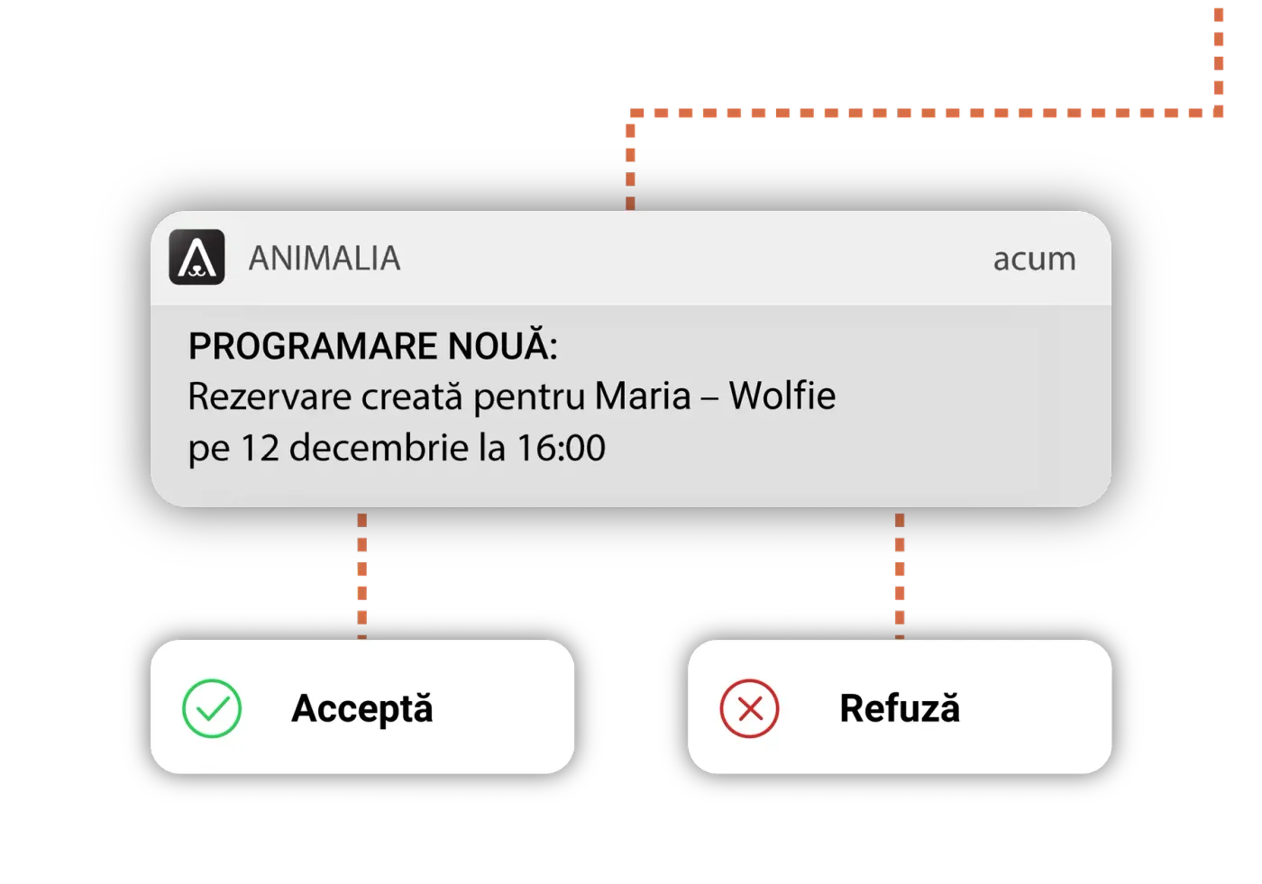 ANIMALIA push notification “NEW APPOINTMENT” with Accept and Decline buttons shown below.
