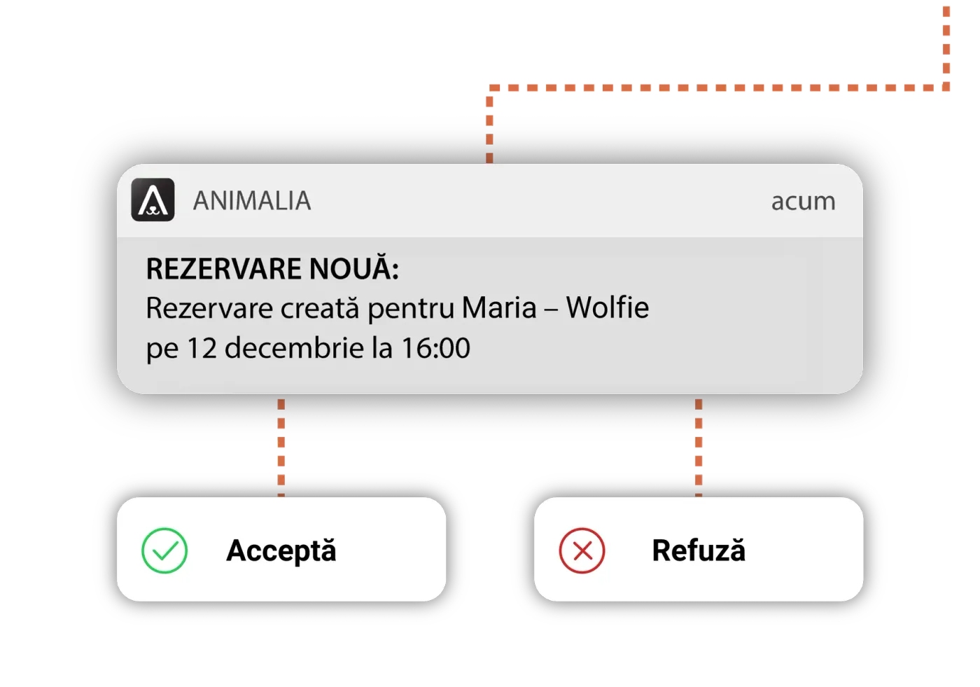 New reservation notification in the Animalia app, with buttons to accept or decline the reservation.