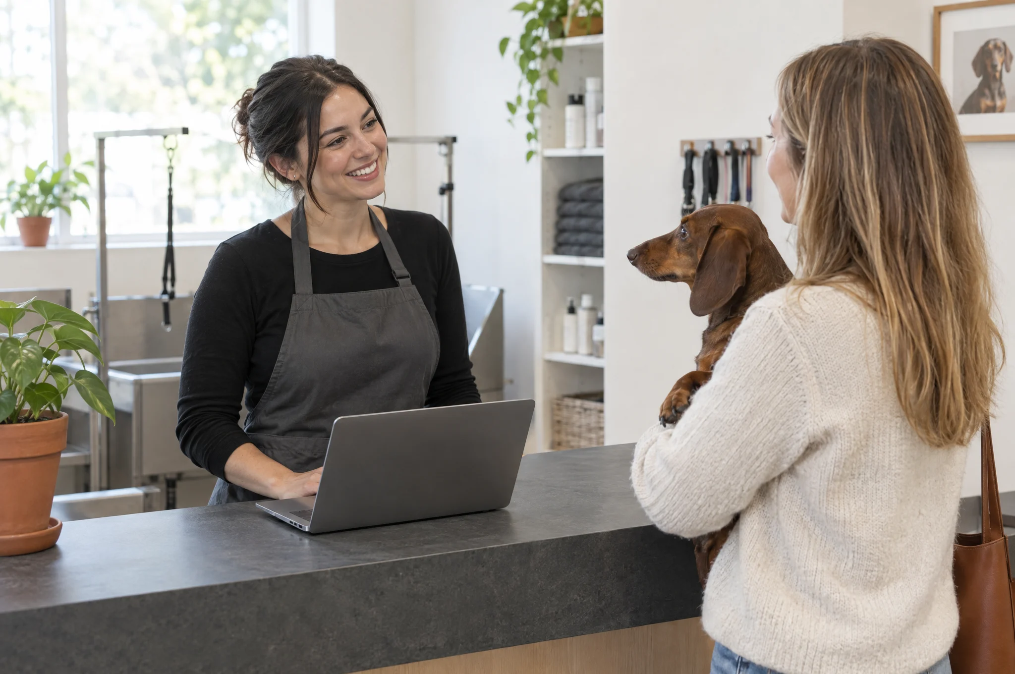 The reception desk of a grooming salon: the team welcomes a client with a dachshund